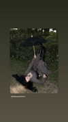 killeranarchist1 Altpins Profile Picture