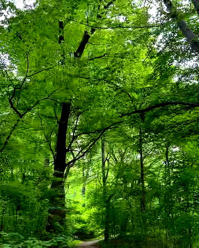 sophiemudd sophiemudd archive video