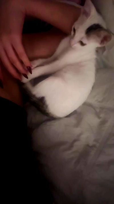 natalllluli natalllluli archive video