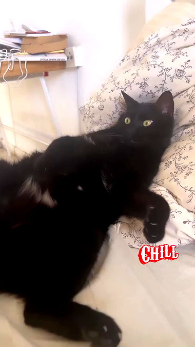 hellokittyangel666 hellokittyangel666 archive video