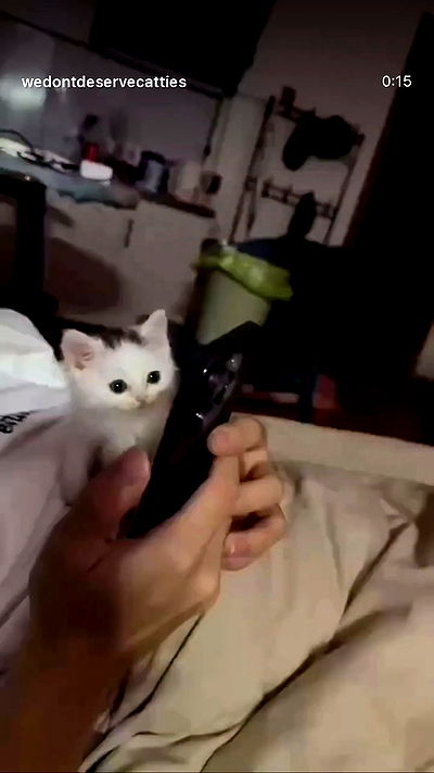 ninja.vi ninja.vi archive video