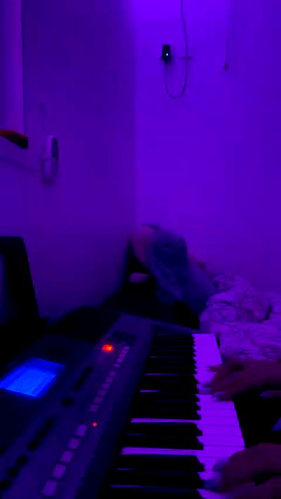 biton__adi biton__adi archive video