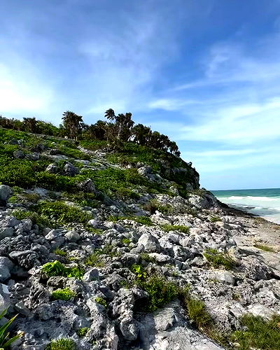 shunli__mei shunli__mei archive video