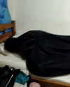 alicia.c555 Altpins Profile Picture