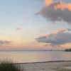 eloise_wensley Altpins Profile Picture