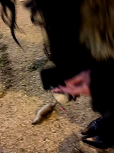 winbun.io winbun.io archive video