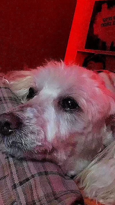 feelbetterinmysweater feelbetterinmysweater archive video