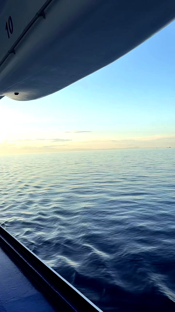 noammalka___ archive video preview