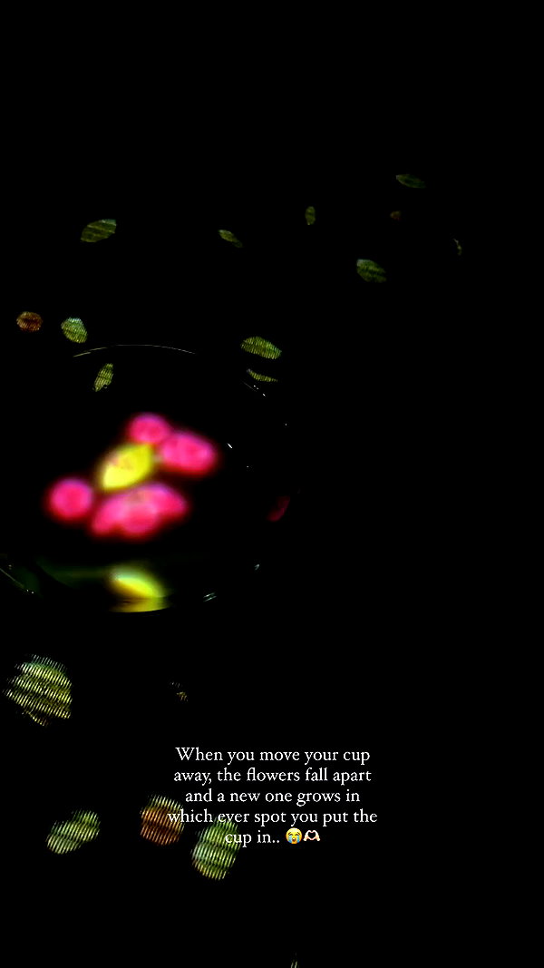 candy_balll archive video preview
