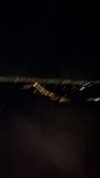 shvuty__ Altpins Profile Picture