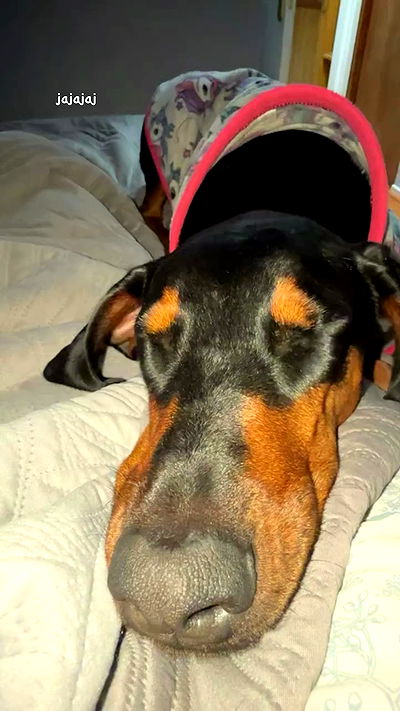 noeemiimii noeemiimii archive video