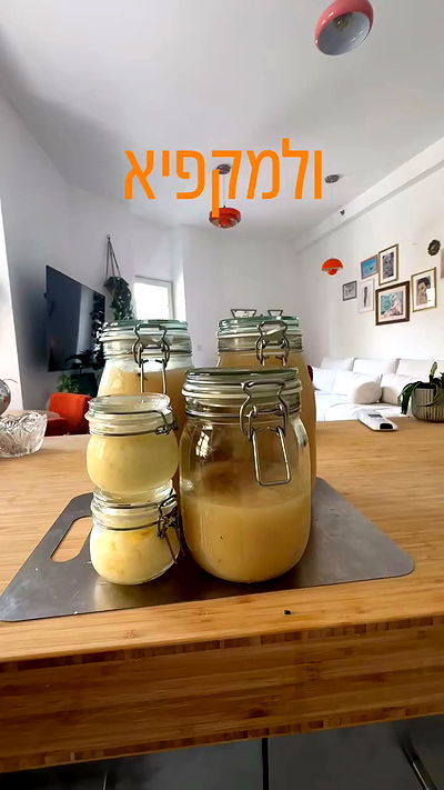 iambohema.v2 iambohema.v2 archive video