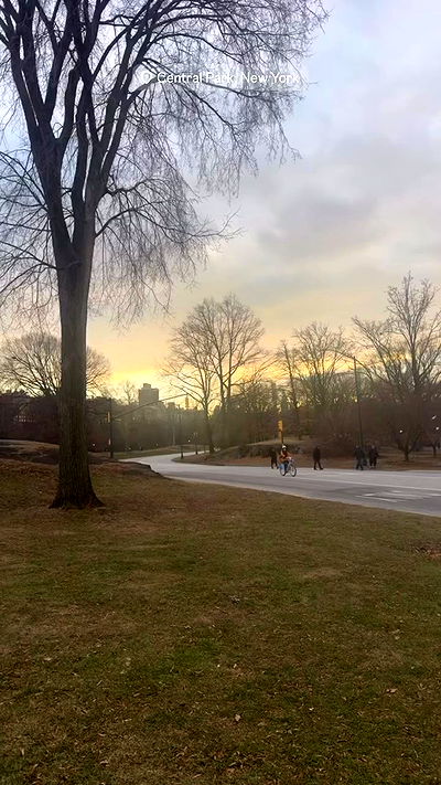 biton__adi biton__adi archive video