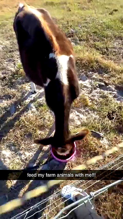 sophieraiin sophieraiin archive video