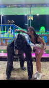 carla.famulari Altpins Profile Picture