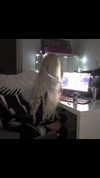 lsdxsx Altpins Profile Picture