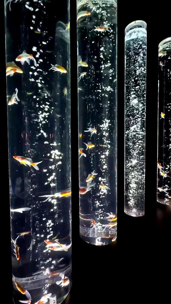 itsilanosh archive video preview