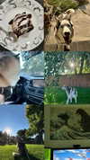 astarwbry_ Altpins Profile Picture
