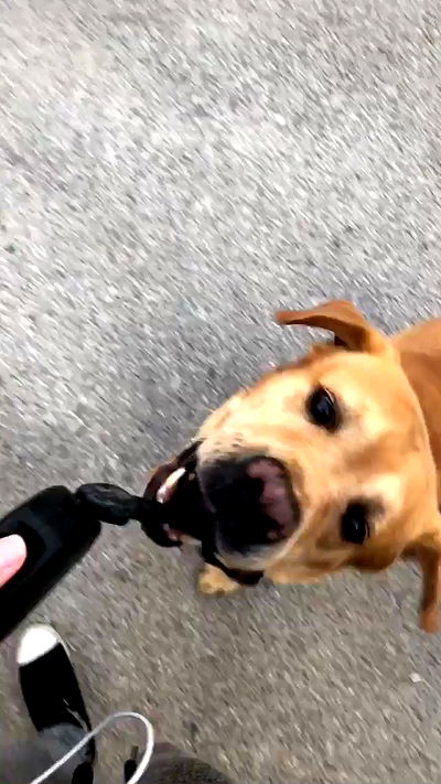 lissi77 lissi77 archive video