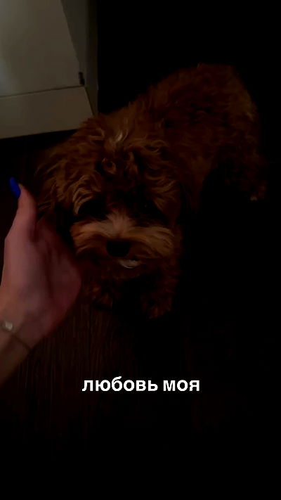 onlykrisssty onlykrisssty archive video