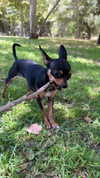 jenny.kaly Altpins Profile Picture