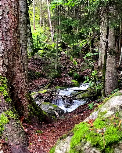 howeversnowy howeversnowy archive video