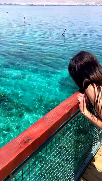 g.a.l.1.a g.a.l.1.a archive video