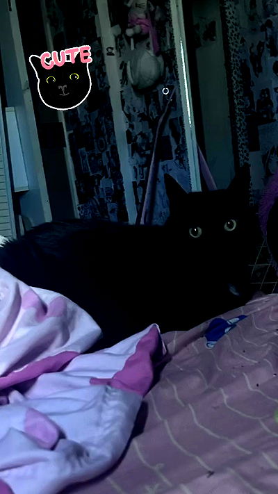 hellokittyangel666 hellokittyangel666 archive video