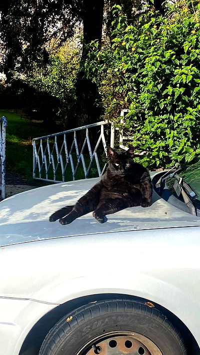 feelbetterinmysweater feelbetterinmysweater archive video