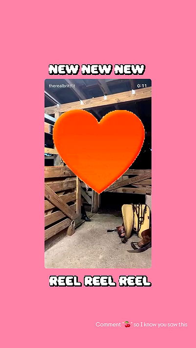 therealbrittfit therealbrittfit archive video