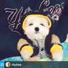 deejaysoda Altpins Profile Picture