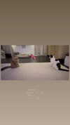 madisonbeer Altpins Profile Picture