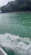 tohar.harosh Altpins Profile Picture