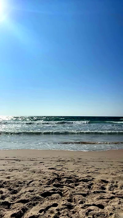 yam_adler yam_adler archive video