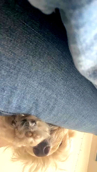 feelbetterinmysweater feelbetterinmysweater archive video