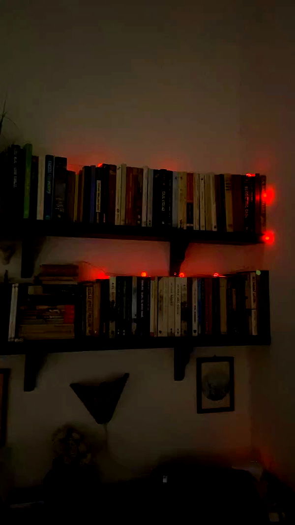 feelbetterinmysweater archive video preview