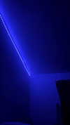 i.love.you.bingus Altpins Profile Picture
