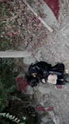 arlettemonze Altpins Profile Picture