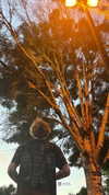 xo.cynnthiia Altpins Profile Picture