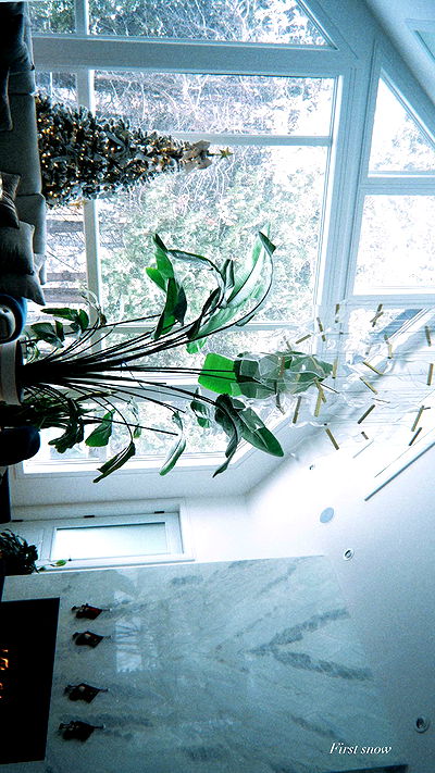 _parismlk _parismlk archive video