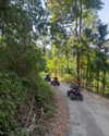 noy.cohenn Altpins Profile Picture
