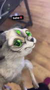 zaperwave Altpins Profile Picture