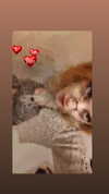 _wayw4rd_ Altpins Profile Picture