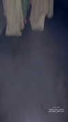 ariannachiaravalle_ Altpins Profile Picture