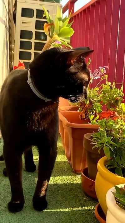 feelbetterinmysweater feelbetterinmysweater archive video