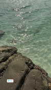 veronika_grish Altpins Profile Picture
