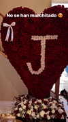 jailyneojeda Altpins Profile Picture