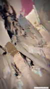 zunxingnhat Altpins Profile Picture