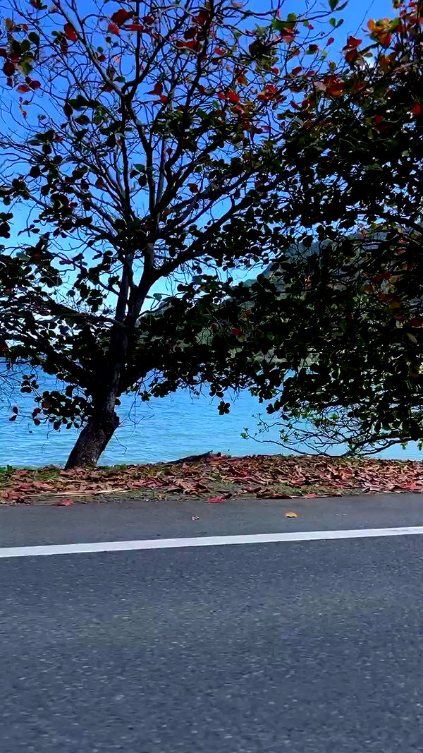 sydney_melman archive video preview