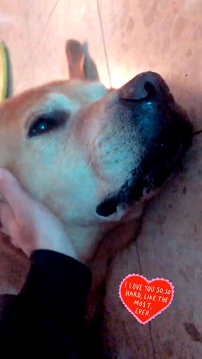 lissi77 lissi77 archive video